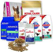 Order dog food online