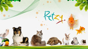 Buy Pet Food India