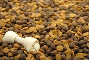 Pet Food Supplier - Pet supplies