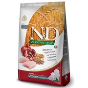 Buy Prescription & Vet Recommended Dog Food at Best Prices in India