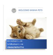 Kanha Pet Shop