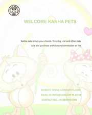 The Kanha Pet Shop