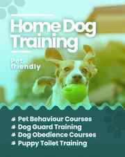 Book Dog Training Service at Home in Jaipur - Mr n Mrs Pet