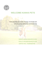 Kanha Pet brings you the best quality and healthy pets
