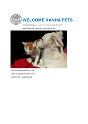 Kanha Pet brings you the healthy pets