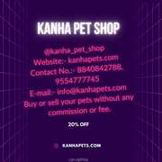Best Pets in the Kanha Pet Shop