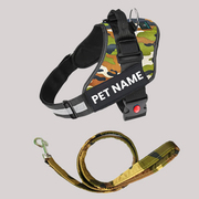 ALCAZAR Personalized Dog Harness + Leash Combo Set
