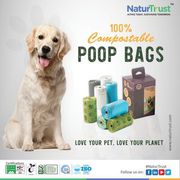 Ever Wondered How You Can Make Your Pooch's Business Eco-Friendly?