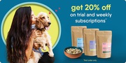 What Are The Top 10 Products That A Dog Owner Should Have?
