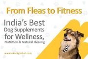 Buy Best Dog & Cat Grooming Tools,  Shampoos – Ektekglobal