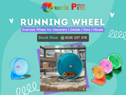 Qpets Hamster Wheel – Rabbit & Small Pet Running Wheel 