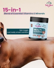 Daily Dog Multivitamin – Immunity, Growth & Energy Support